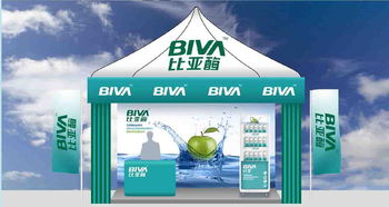 比亞酶的品牌形象構建 從標志設計到廣告投放